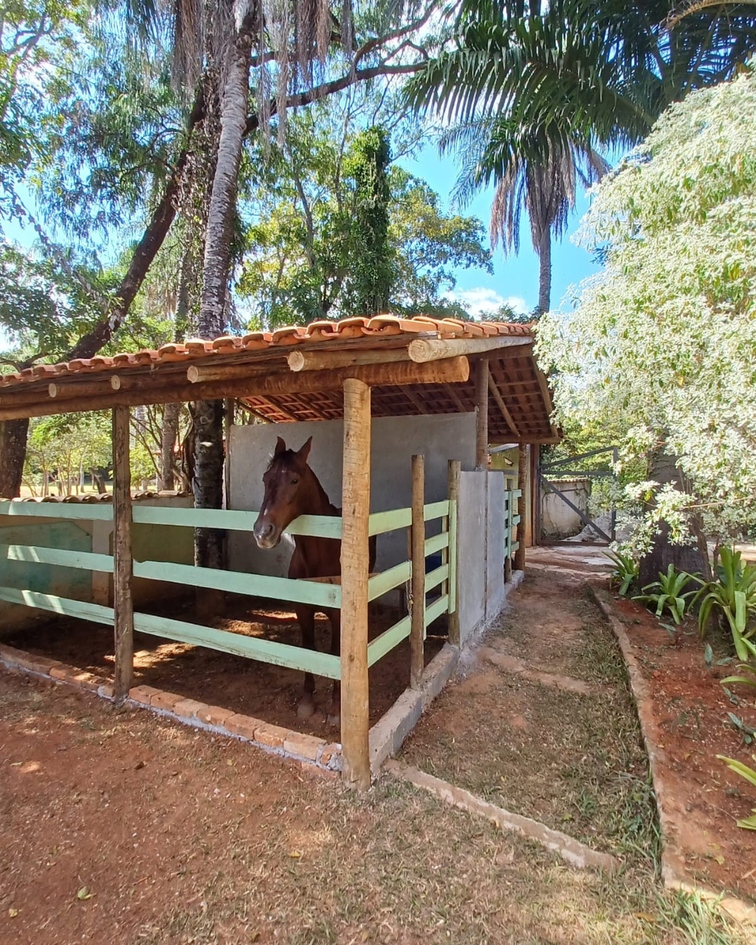 Área verde da pousada