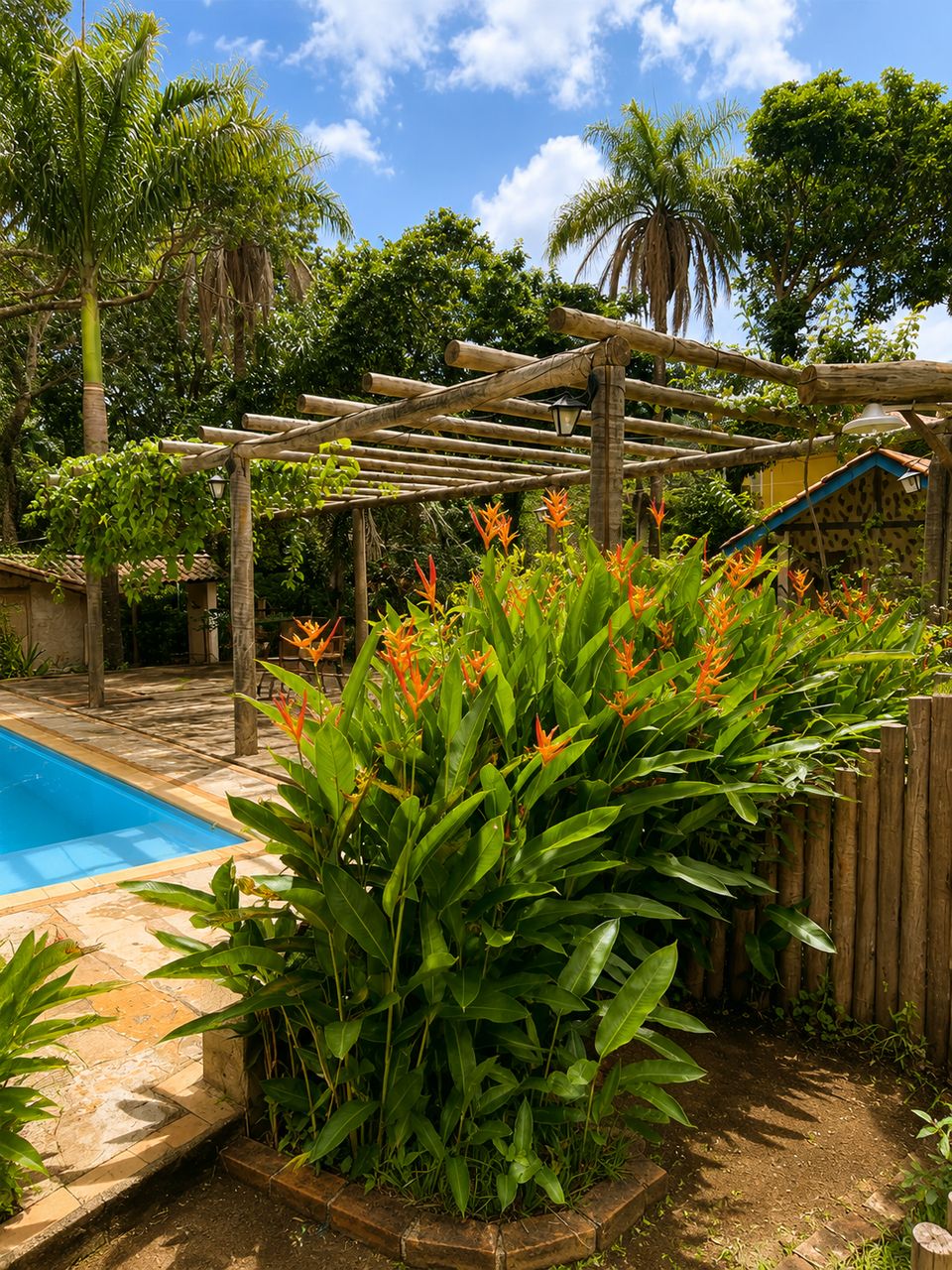 Piscina rodeada de vegetação tropical