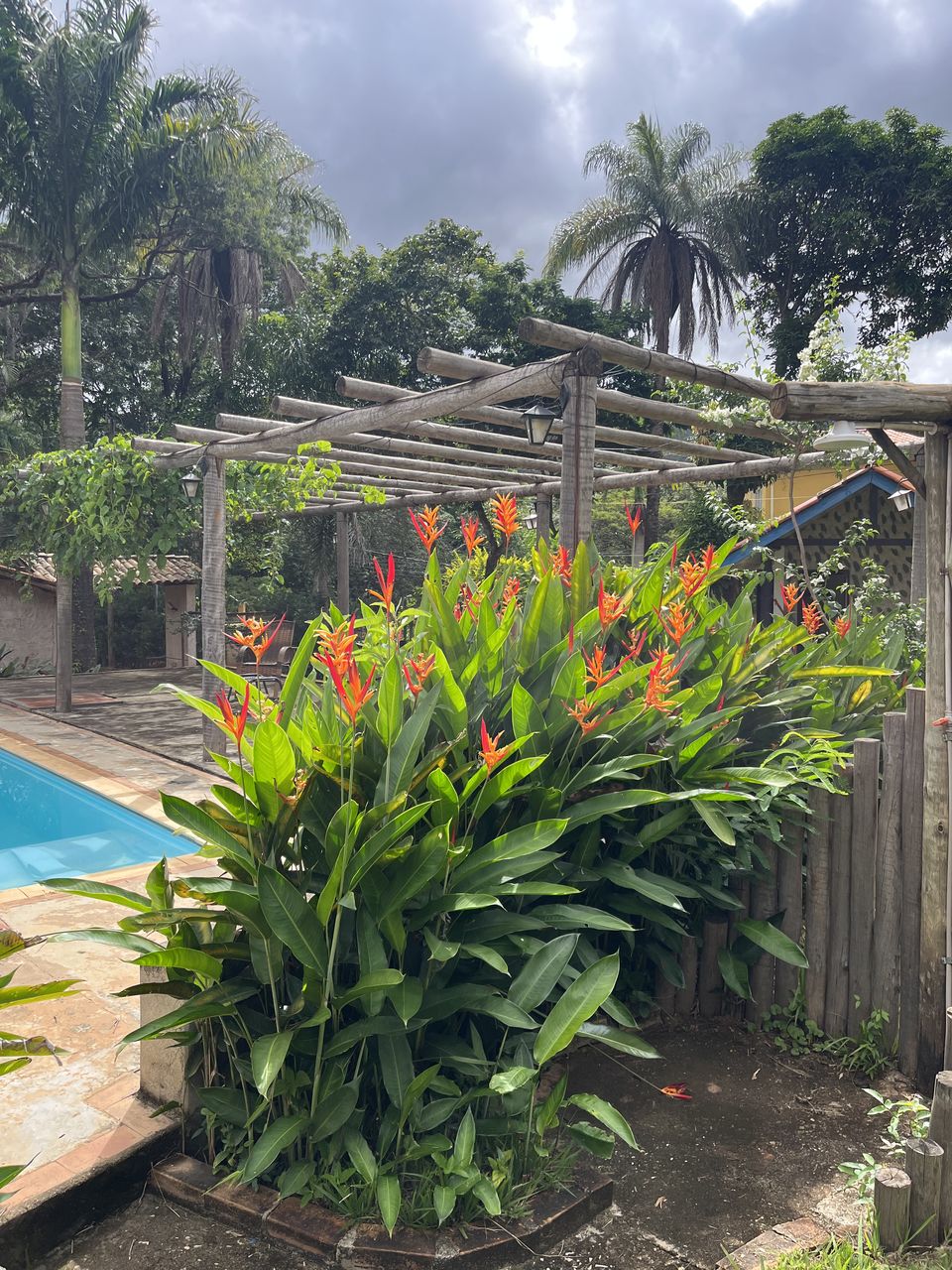 Vista da piscina e da natureza ao redor